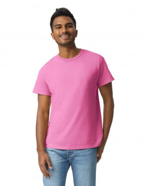 Men's Gildan 2000 T-Shirts Azalea | QNVH68409