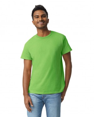 Men's Gildan 2000 T-Shirts Lime | XCKE37085