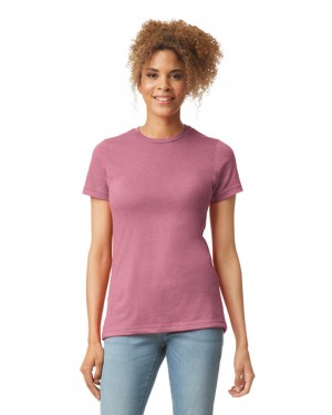 Women's Gildan 67000L CVC T-Shirts Plumrose | DKQG93164