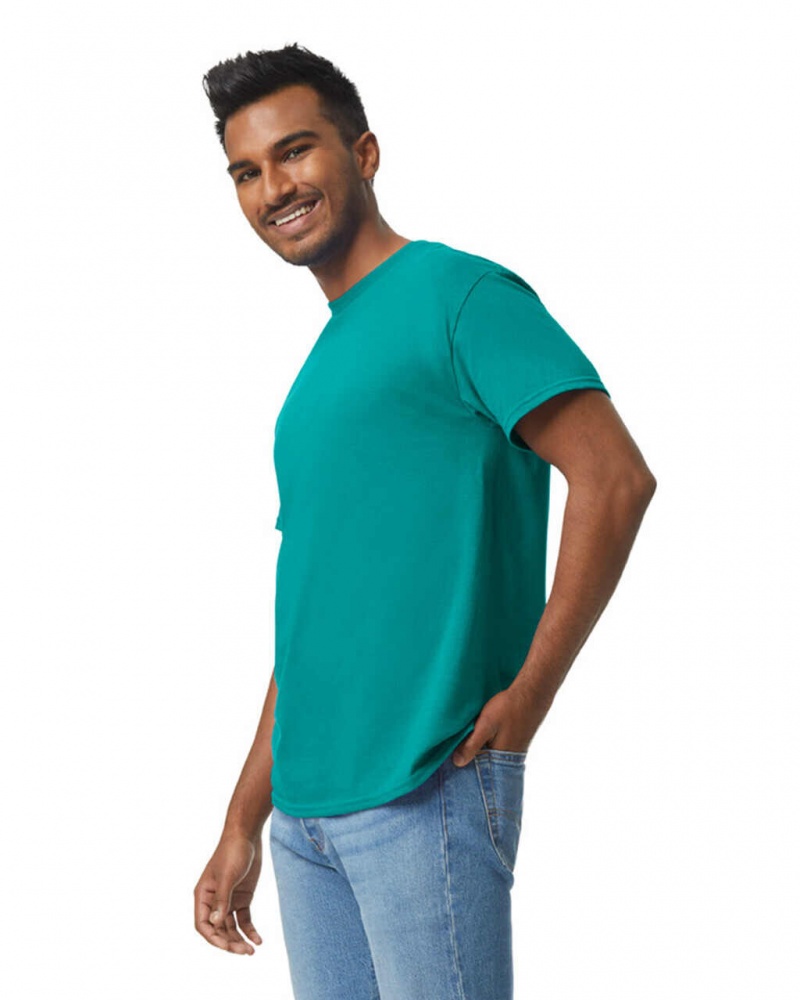 Men's Gildan 5000 T-Shirts Antique Jade Dome | CVSF09482