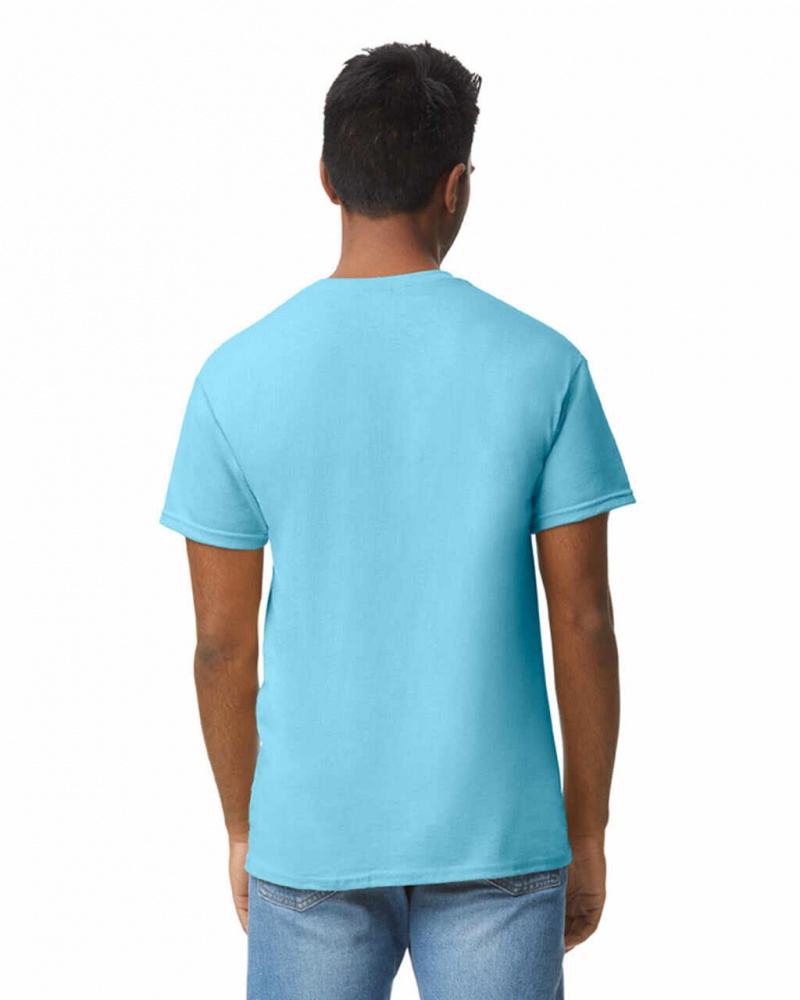 Men's Gildan 5000 T-Shirts Sky | ZGHK75849